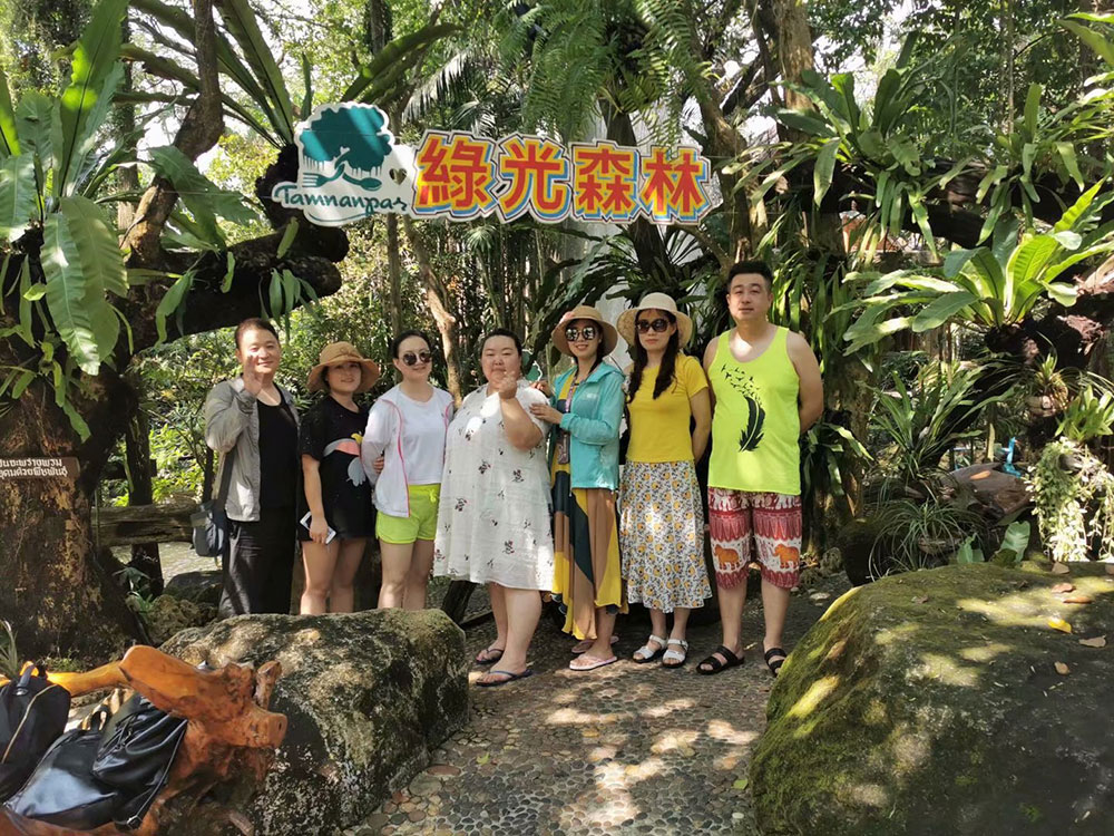 出發(fā)在鴻成，暢爽泰國游(圖2)