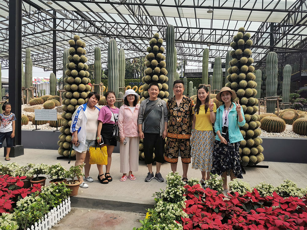出發(fā)在鴻成，暢爽泰國游(圖3)